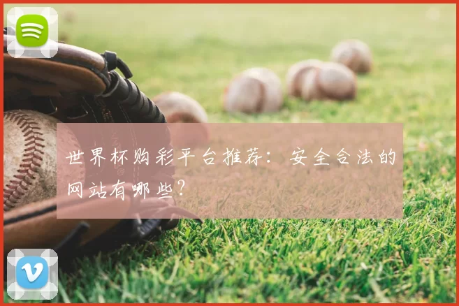 世界杯购彩平台推荐：安全合法的网站有哪些？