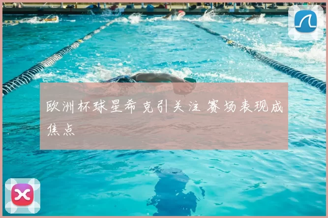 欧洲杯球星希克引关注 赛场表现成焦点