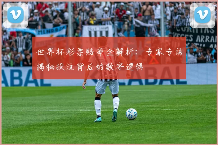 世界杯彩票赔率全解析：专家专访揭秘投注背后的数字逻辑