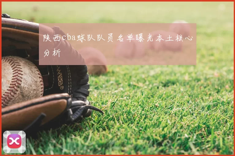 陕西cba球队队员名单曝光本土核心分析