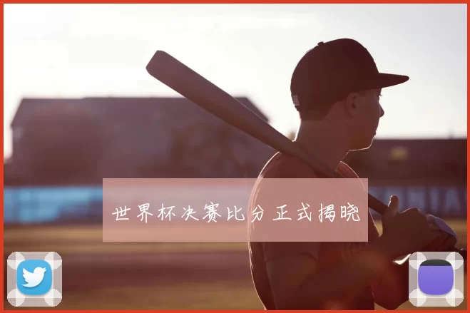 世界杯决赛比分正式揭晓
