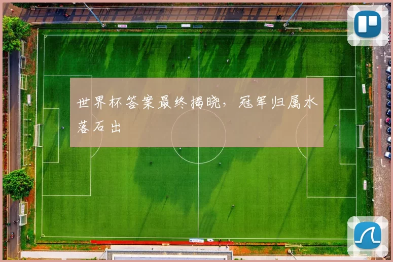 世界杯答案最终揭晓,冠军归属水落石出