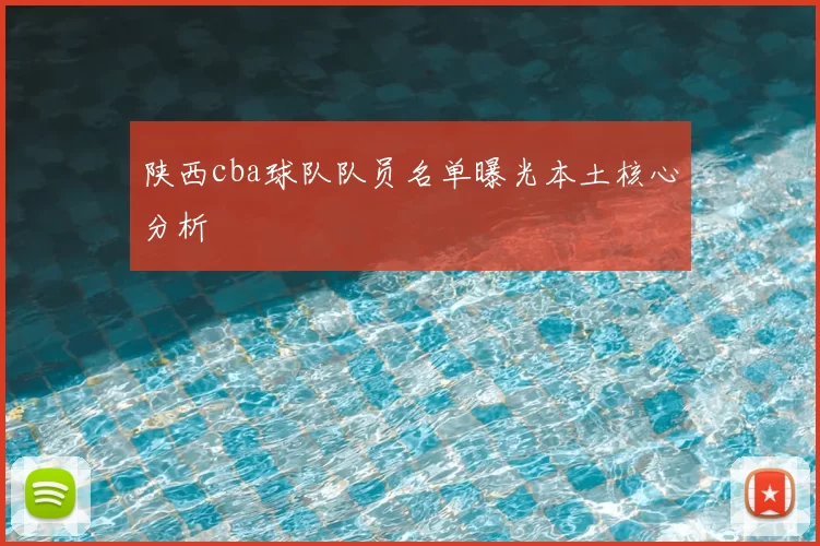 陕西cba球队队员名单曝光本土核心分析