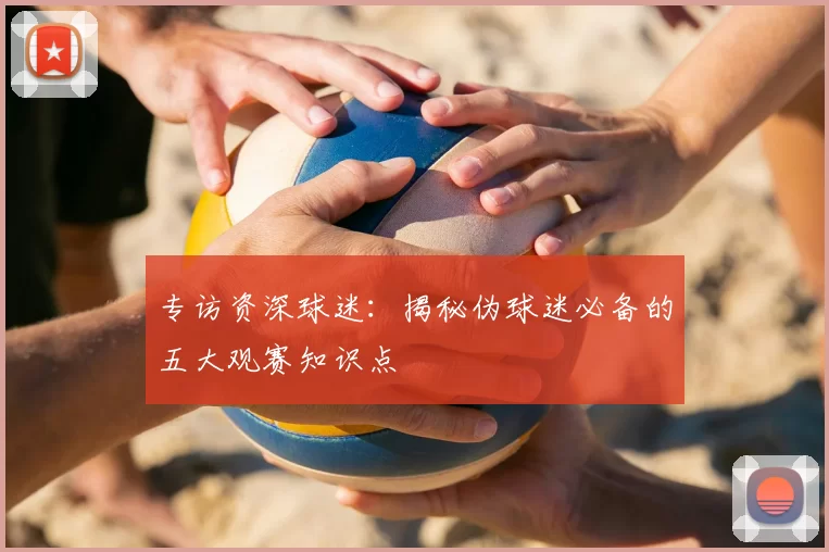 专访资深球迷:揭秘伪球迷必备的五大观赛知识点