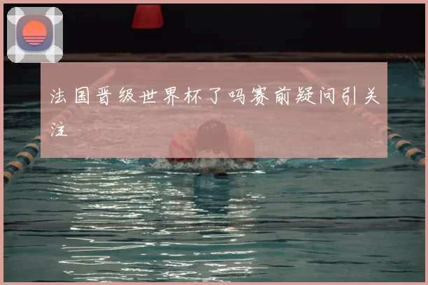 法国晋级世界杯了吗赛前疑问引关注