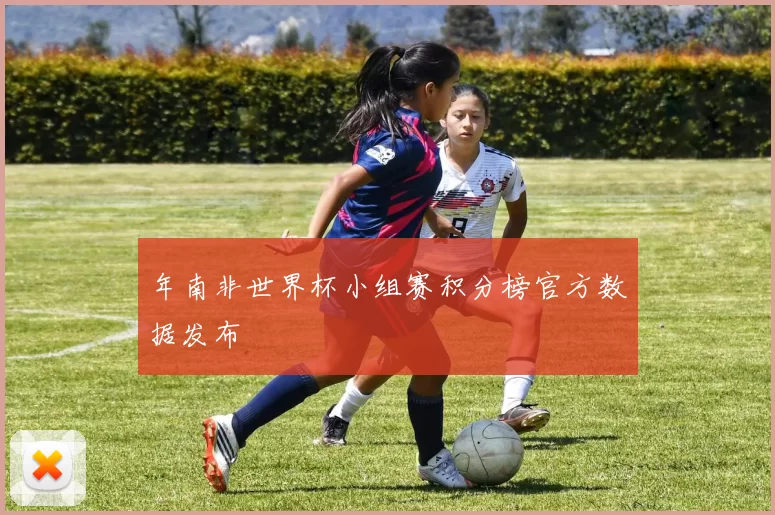 年南非世界杯小组赛积分榜官方数据发布