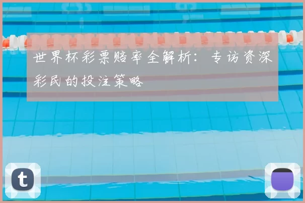 世界杯彩票赔率全解析：专访资深彩民的投注策略