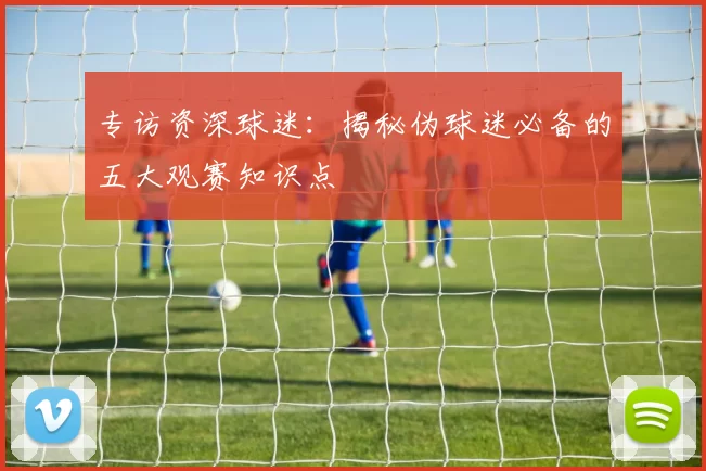 专访资深球迷:揭秘伪球迷必备的五大观赛知识点