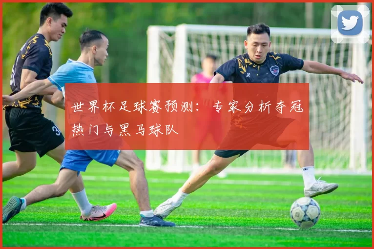 世界杯足球赛预测:专家分析夺冠热门与黑马球队