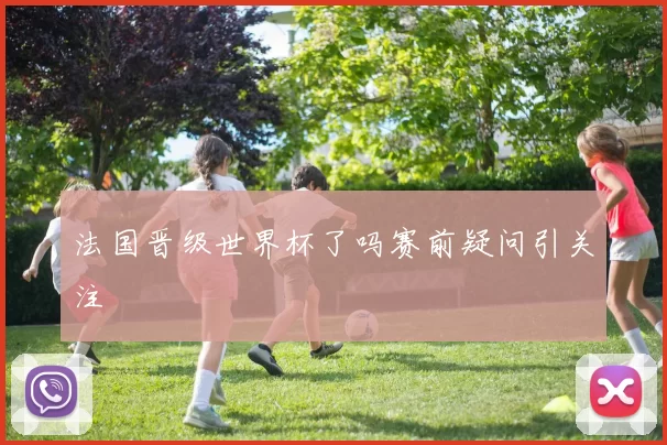 法国晋级世界杯了吗赛前疑问引关注
