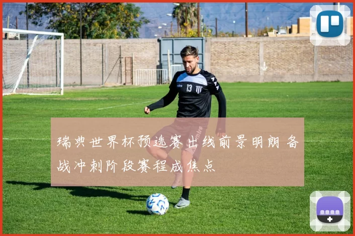 瑞典世界杯预选赛出线前景明朗 备战冲刺阶段赛程成焦点