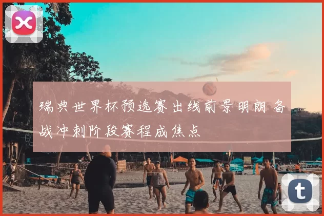 瑞典世界杯预选赛出线前景明朗 备战冲刺阶段赛程成焦点