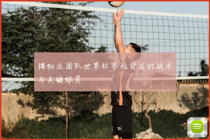 揭秘法国队世界杯夺冠背后的战术与关键球员