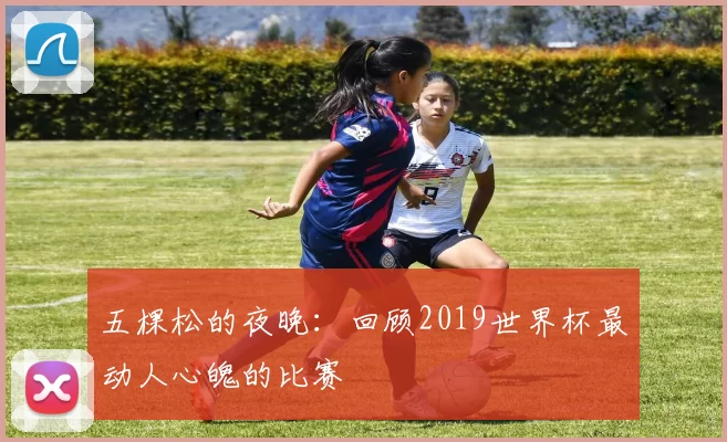 五棵松的夜晚:回顾2019世界杯最动人心魄的比赛